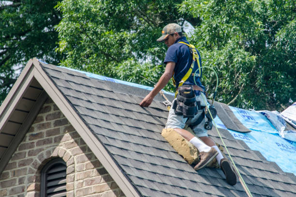 Best Roof Repair Services  in Laurel, VA